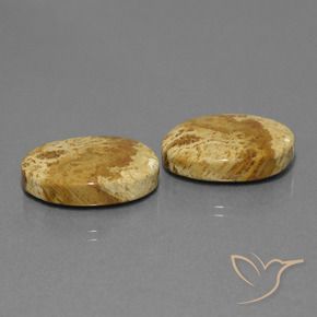 Gemme di Corallo fossile Multicolore naturale da 25.37 ct, Ovale, Opaco