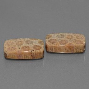 Gemme di Corallo fossile Multicolore naturale da  ct, Taglio a cuscino, Opaco