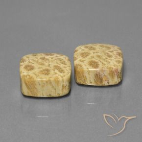 Gemme di Corallo fossile Multicolore naturale da 26.03 ct, Cuscino, Opaco
