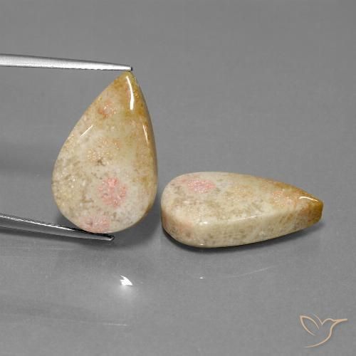 28.35ctw Naturale Multicolore Corallo fossile, Forma a pera, Opaco