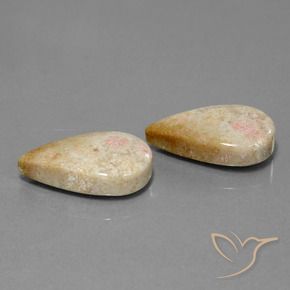 Gemme di Corallo fossile Multicolore naturale da 28.35 ct, Forma a pera, Opaco