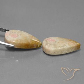 Gemme di Corallo fossile Multicolore naturale da 28.35 ct, Forma a pera, Opaco