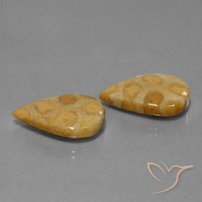 Gemme di Corallo fossile Multicolore naturale da 22.90 ct, Forma a pera, Opaco