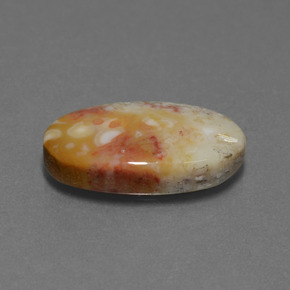 Corallo fossile multicolore naturale da 8,82 ct, taglio ovale, opaco