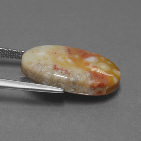 Corallo fossile multicolore naturale da 8,82 ct, taglio ovale, opaco