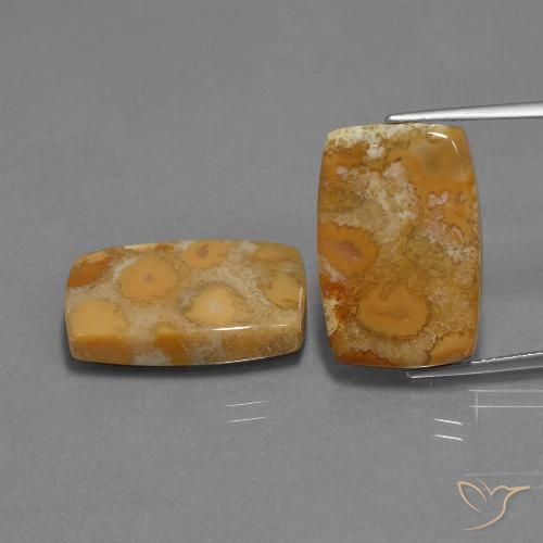 29.77ctw Naturale Multicolore Corallo fossile, Cuscino, Opaco