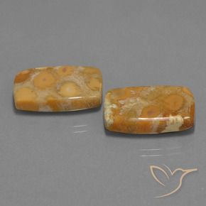 Gemme di Corallo fossile Multicolore naturale da 29.77 ct, Cuscino, Opaco
