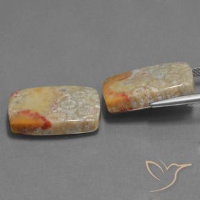 Gemme di Corallo fossile Multicolore naturale da 29.41 ct, Cuscino, Opaco