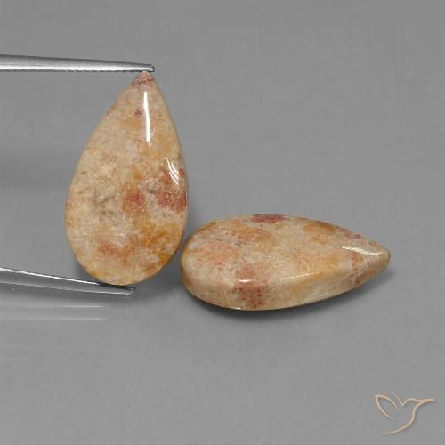 22.64ctw Naturale Multicolore Corallo fossile, Forma a pera, Opaco, Photo A