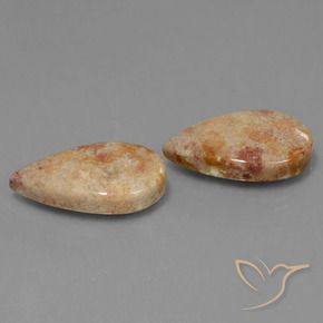 Gemme di Corallo fossile Multicolore naturale da 22.64 ct, Forma a pera, Opaco