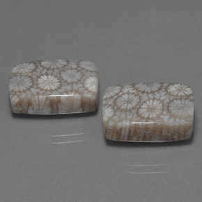 Gemme di Corallo fossile Multicolore naturale da  ct, Taglio a cuscino, Opaco