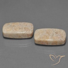 Gemme di Corallo fossile Multicolore naturale da 30.16 ct, Cuscino, Opaco