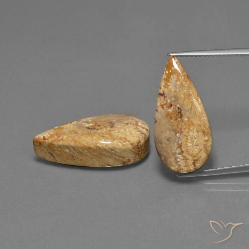 25.79ctw Naturale Multicolore Corallo fossile, Forma a pera, Opaco