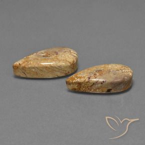 Gemme di Corallo fossile Multicolore naturale da 25.79 ct, Forma a pera, Opaco