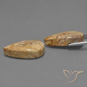 Gemme di Corallo fossile Multicolore naturale da 25.79 ct, Forma a pera, Opaco