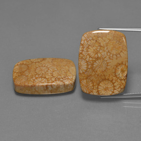 Gemme di Corallo fossile Multicolore naturale da  ct, Taglio a cuscino, Opaco