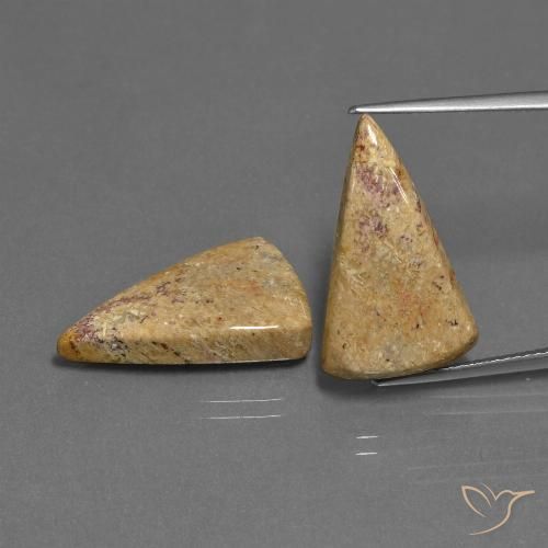 16.43ctw Naturale Multicolore Corallo fossile, Taglio trillion, Opaco
