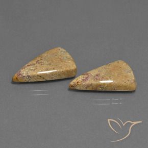 Gemme di Corallo fossile Multicolore naturale da 16.43 ct, Taglio trillion, Opaco