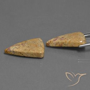 Gemme di Corallo fossile Multicolore naturale da 16.43 ct, Taglio trillion, Opaco