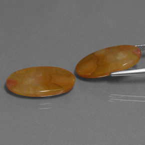 Gemme di Corallo fossile Multicolore naturale da  ct, Taglio ovale, Traslucido