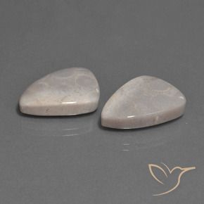 Gemme di Corallo fossile Multicolore naturale da 23.12 ct, Taglio trillion, Opaco