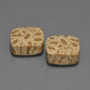 Gemme di Corallo fossile Multicolore naturale da  ct, Taglio a cuscino, Opaco