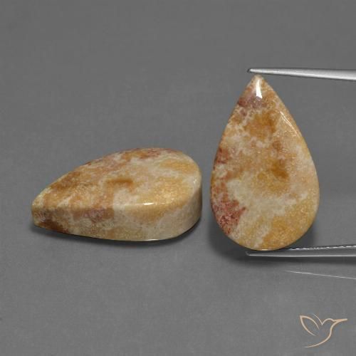 33.44ctw Naturale Multicolore Corallo fossile, Forma a pera, Opaco