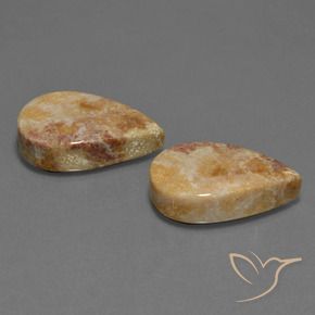 Gemme di Corallo fossile Multicolore naturale da 33.44 ct, Forma a pera, Opaco
