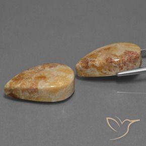 Gemme di Corallo fossile Multicolore naturale da 33.44 ct, Forma a pera, Opaco
