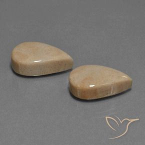 Gemme di Corallo fossile Multicolore naturale da 17.01 ct, Forma a pera, Opaco