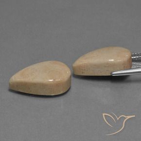 Gemme di Corallo fossile Multicolore naturale da 17.01 ct, Forma a pera, Opaco