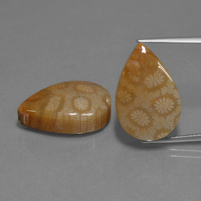 Gemme di Corallo fossile Multicolore naturale da  ct, Forma a pera, Opaco