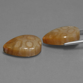 Gemme di Corallo fossile Multicolore naturale da  ct, Forma a pera, Opaco