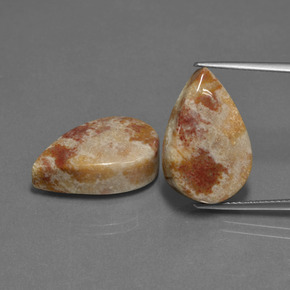 Gemme di corallo fossile multicolore naturale da  ct, taglio a pera, opaco