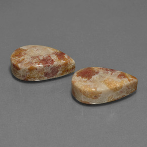 Gemme di corallo fossile multicolore naturale da  ct, taglio a pera, opaco