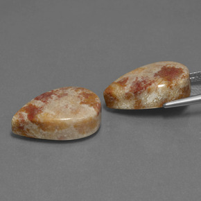 Gemme di corallo fossile multicolore naturale da  ct, taglio a pera, opaco