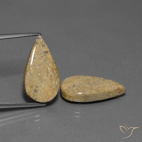 17.13ctw Naturale Multicolore Corallo fossile, Forma a pera, Opaco