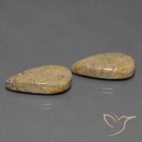Gemme di Corallo fossile Multicolore naturale da 17.13 ct, Forma a pera, Opaco