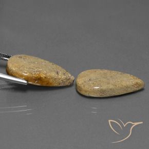 Gemme di Corallo fossile Multicolore naturale da 17.13 ct, Forma a pera, Opaco