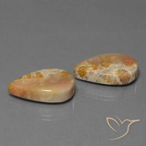 Gemme di Corallo fossile Multicolore naturale da 27.92 ct, Forma a pera, Opaco