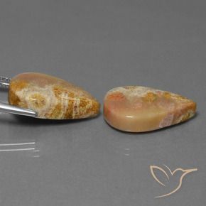 Gemme di Corallo fossile Multicolore naturale da 27.92 ct, Forma a pera, Opaco