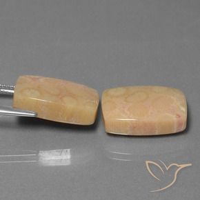 Gemme di Corallo fossile Multicolore naturale da 24.97 ct, Cuscino, Opaco