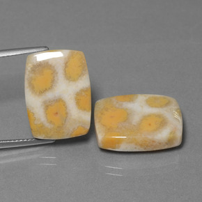 Gemme di Corallo fossile Multicolore naturale da  ct, Taglio a cuscino, Opaco