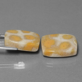 Gemme di Corallo fossile Multicolore naturale da  ct, Taglio a cuscino, Opaco