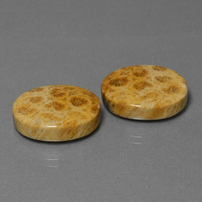 Gemme di corallo fossile multicolore naturale da  ct, taglio ovale, opaco