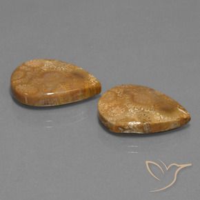 Gemme di Corallo fossile Multicolore naturale da 21.78 ct, Forma a pera, Opaco