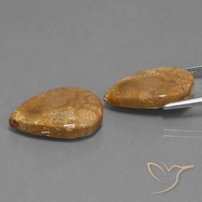 Gemme di Corallo fossile Multicolore naturale da 21.78 ct, Forma a pera, Opaco
