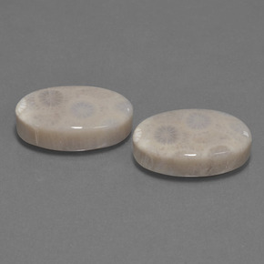 Gemme di Corallo fossile Multicolore naturale da  ct, Taglio ovale, Opaco