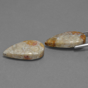 Gemme di Corallo fossile Multicolore naturale da 18.07 ct, Forma a pera, Opaco