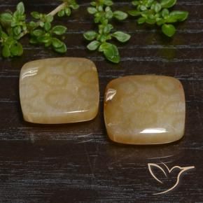 Gemme di Corallo fossile Multicolore naturale da 26.38 ct, Cuscino, Traslucido